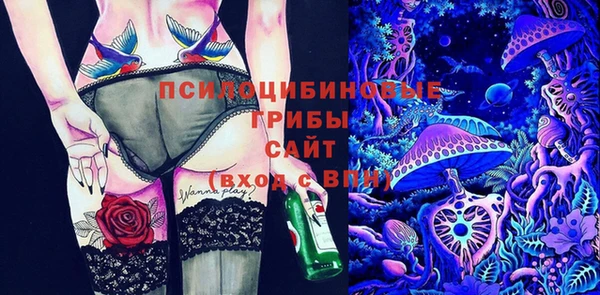 дживик Сатка