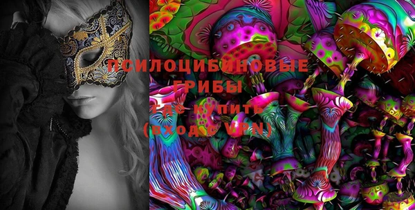 не бодяженный Абаза