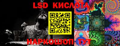 ГАЛЛЮЦИНОГЕННЫЕ ГРИБЫ Гусев