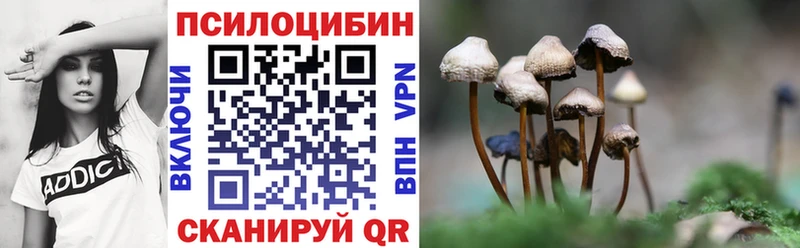 Псилоцибиновые грибы Magic Shrooms Прокопьевск