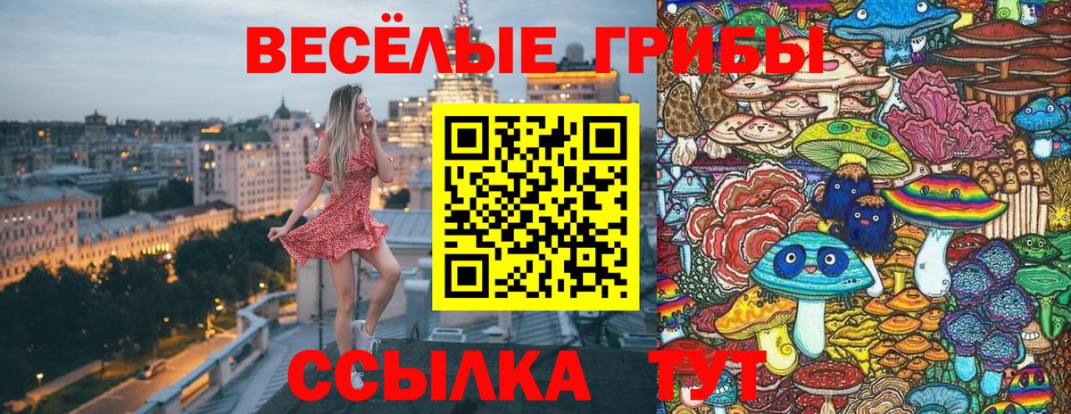Прокопьевск  Псилоцибиновые грибы MAGIC MUSHROOMS  купить   Вход с VPN 